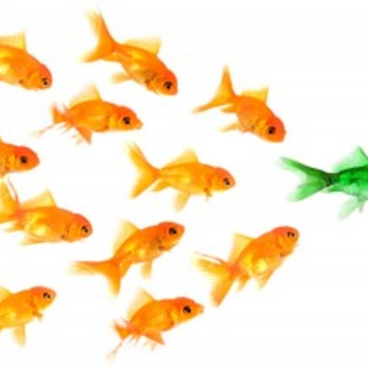 cover art for 423 – Non ducor duco