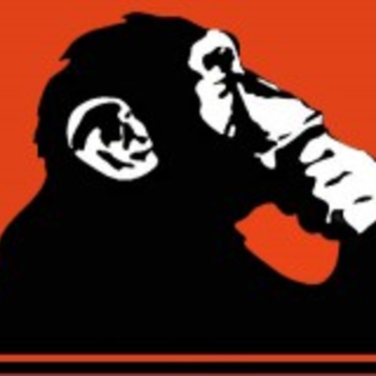 cover art for 341 – Pancadão é cultura?