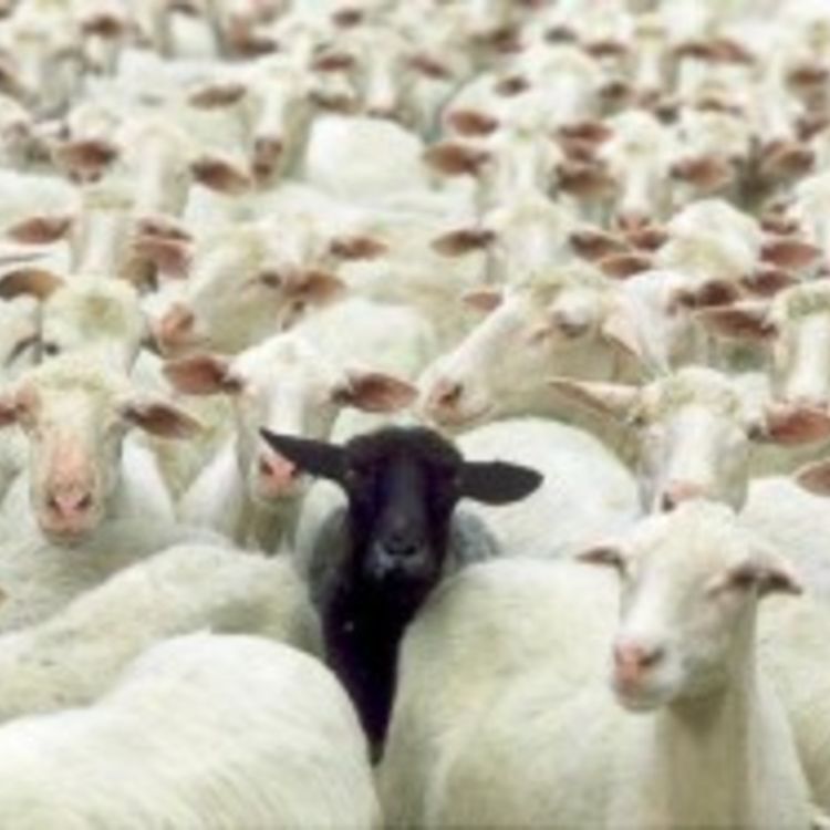 cover art for 332 – Ovelha negra