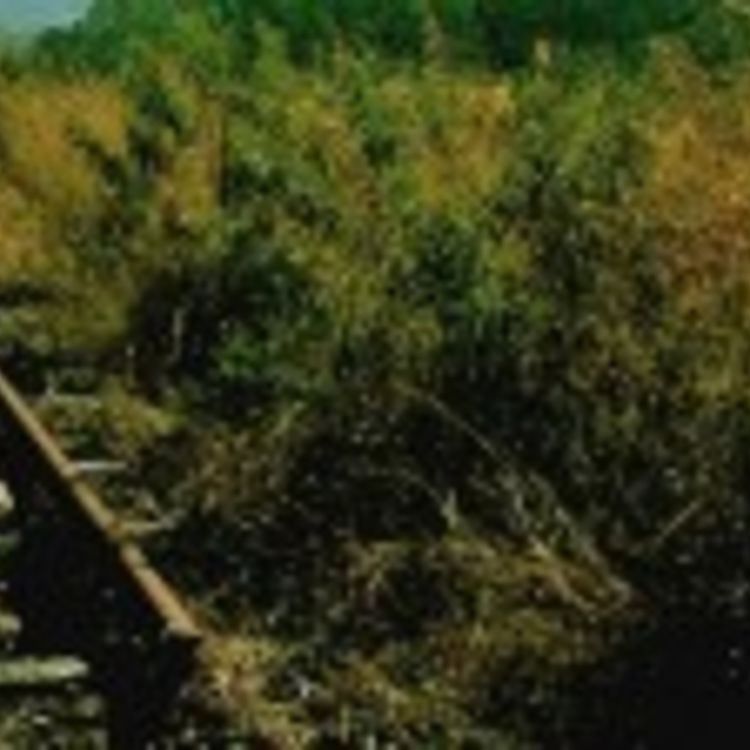 cover art for 329 – O fim do podcast Café Brasil