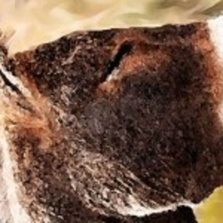 cover art for 286 – A fantástica fábrica de estupidez