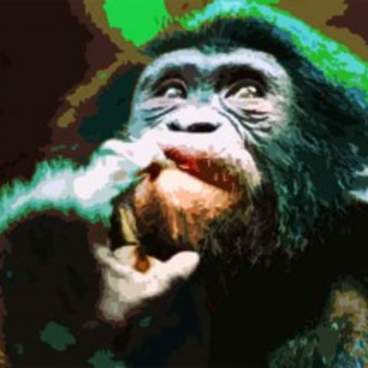 cover art for 269 – O benefício da dúvida