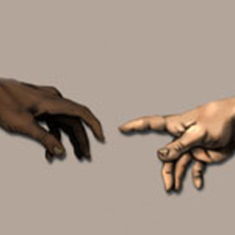 cover art for 241 – Preconceito, discriminação e racismo