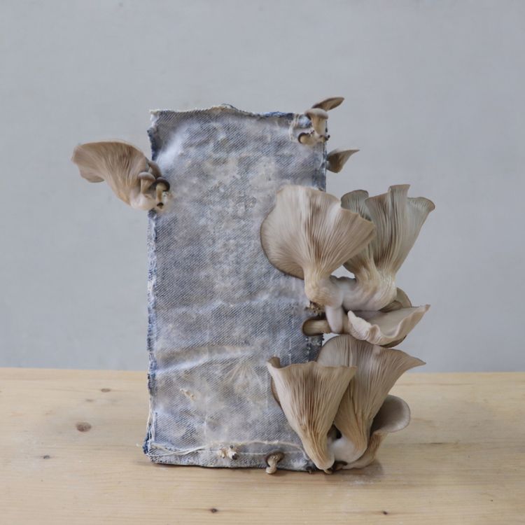 cover art for Que veux-tu, brique ? - Partie 3