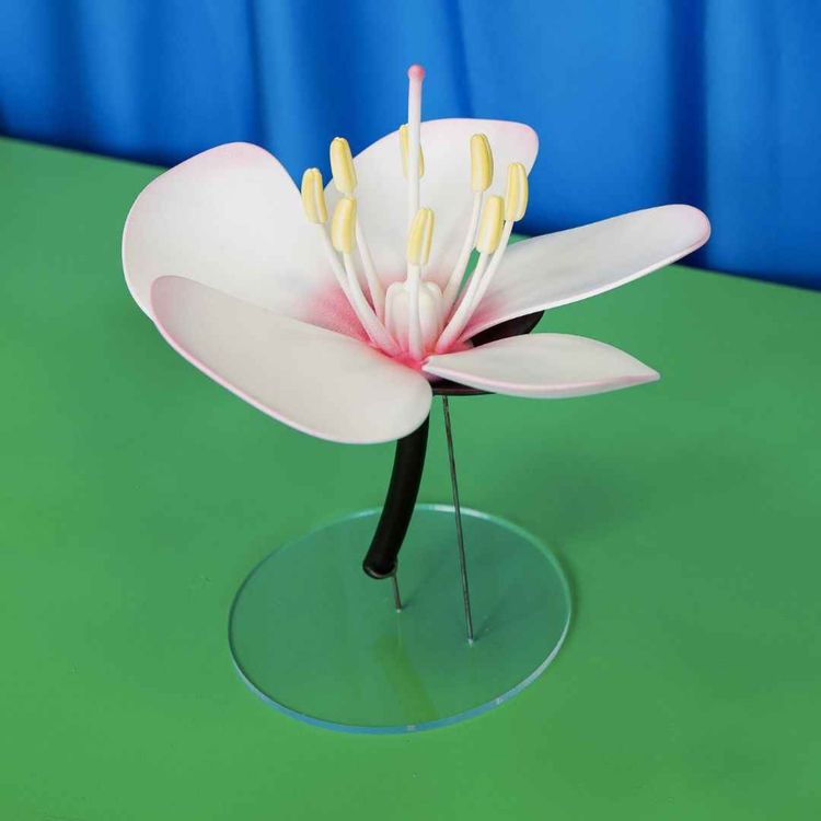 cover art for Memo - Souvenirs du futur (Alexis Foiny)