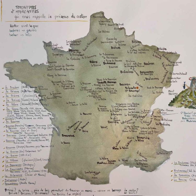 cover art for Memo - Souvenirs du futur (Suzanne Husky)