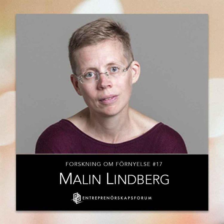 cover art for Det innovativa civilsamhället