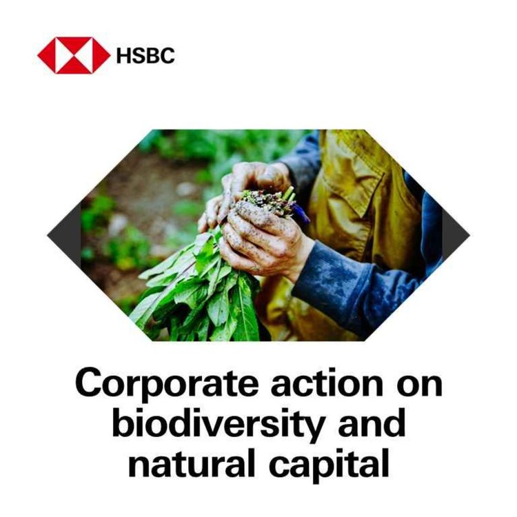 cover art for Corporate action on biodiversity and natural capital