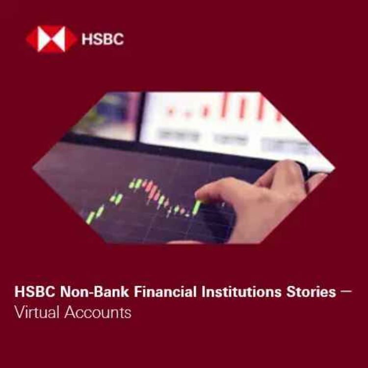 cover art for NBFI Stories - Virtual Accounts