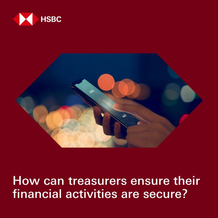 cover art for How can treasurers ensure their financial activities are secure?