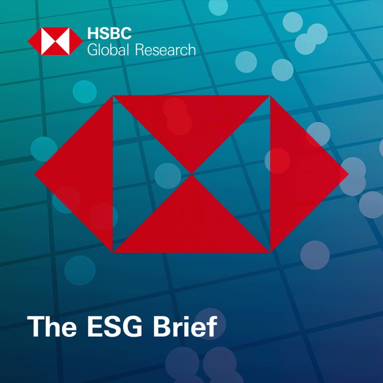 cover art for The ESG Brief - How the net zero transition might transform Australia