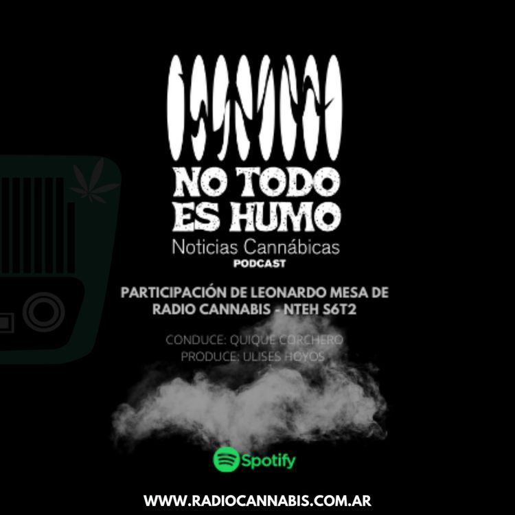 cover art for MASS MEDIA Y CANNABIS 