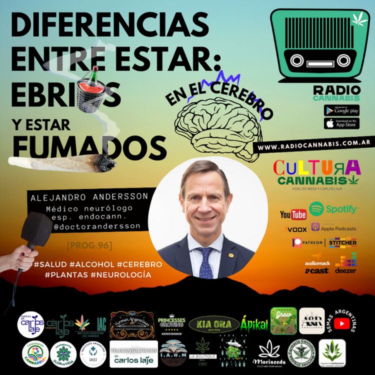 cover art for DIFERENCIAS EN EL CEREBRO ESTANDO EBRIOS Y FUMADOS