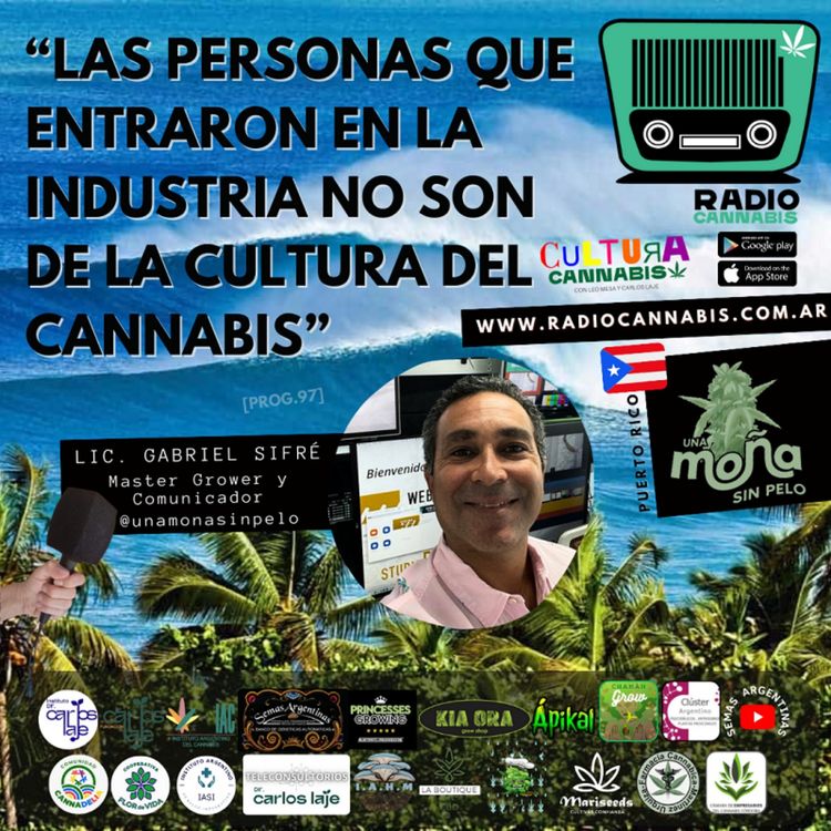 cover art for LAS PERSONAS QUE ENTRARON EN LA INDUSTRIA NO SON DE LA CULTURA DEL CANNABIS