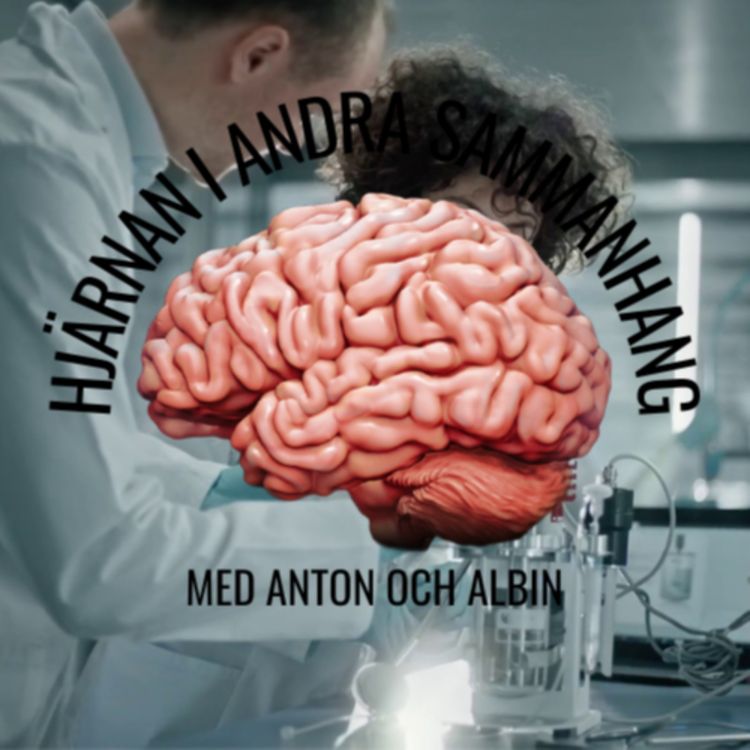 cover art for Hjärnan i andra sammanhang