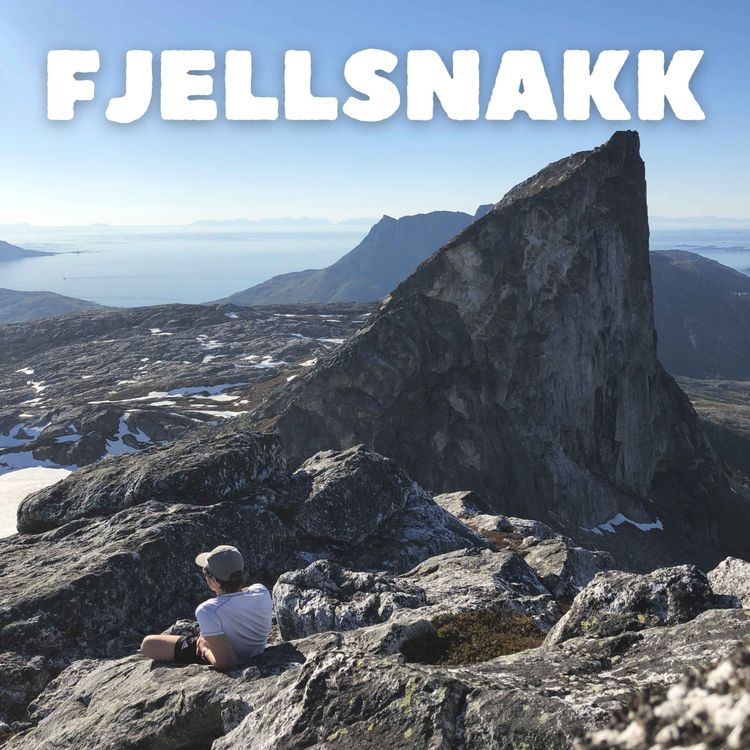 cover art for Episode 14 - Fjellsnakk