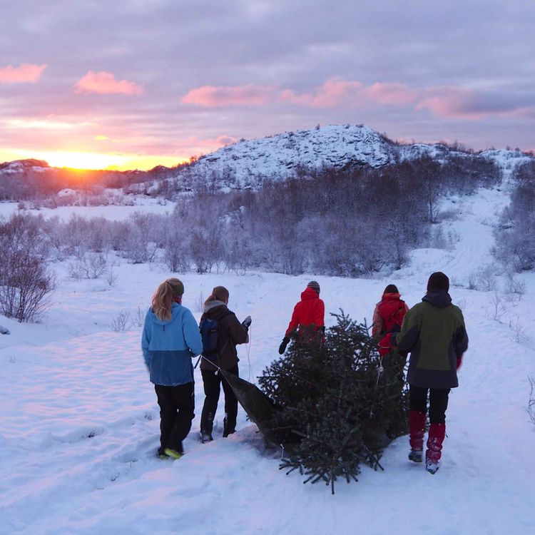 cover art for Episode 22 - Julespesial - Hvordan er det å feire jul på folkehøgskolen?