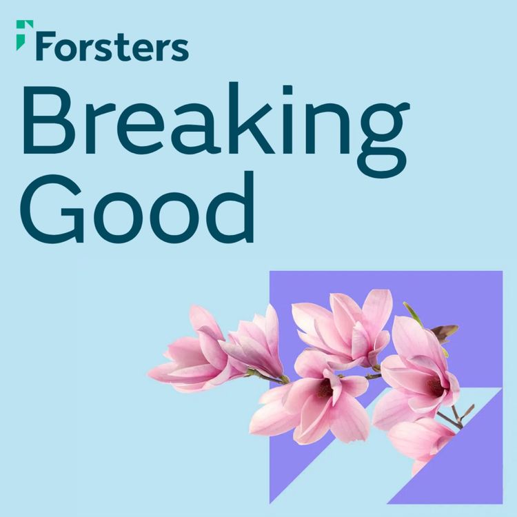 cover art for No Fault Divorce – ending the blame game