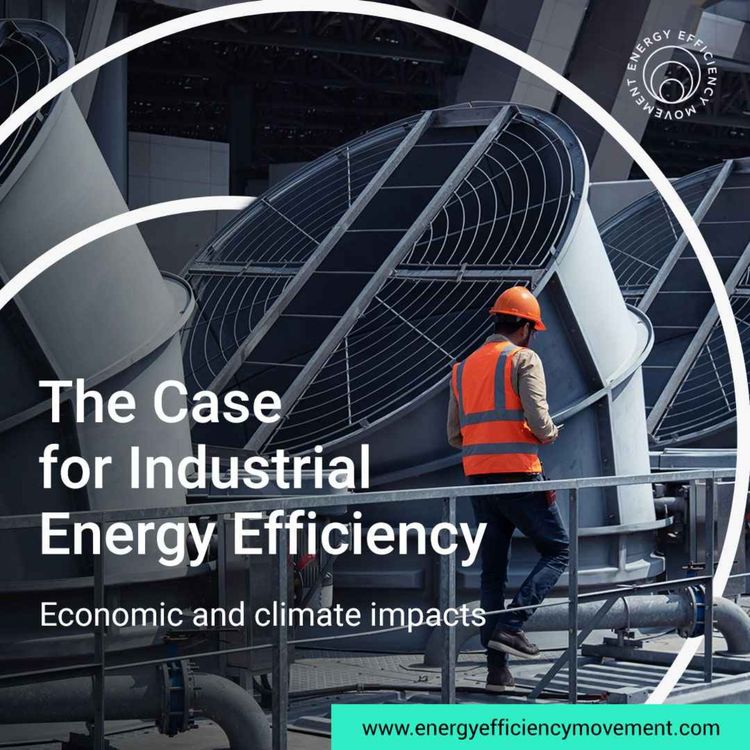 cover art for Why the Energy Efficiency Movement is a ‘win-win’ for industry