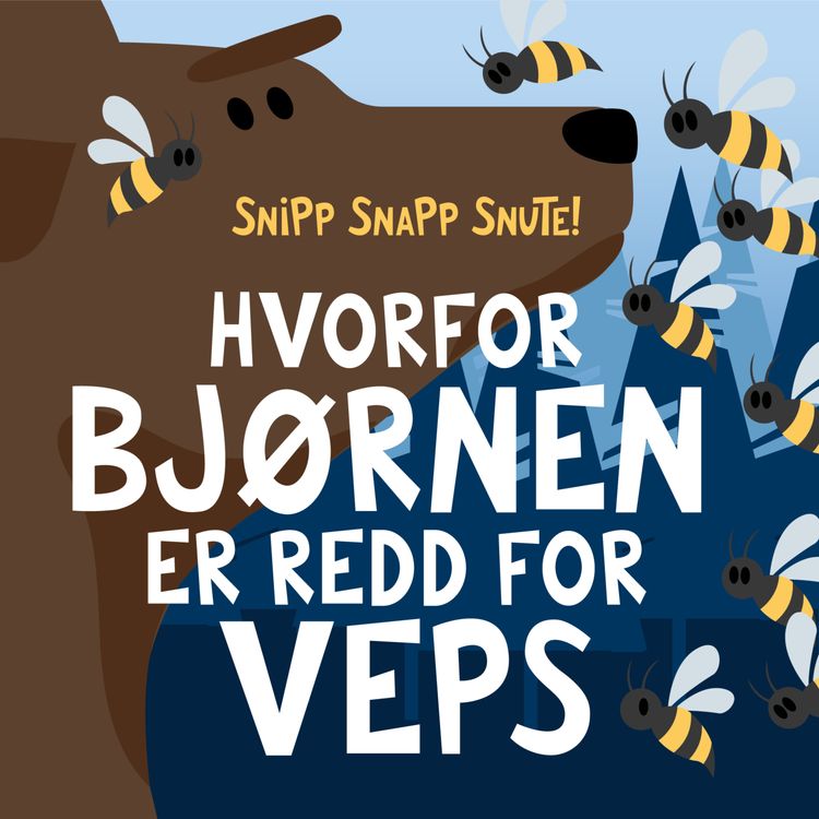 cover art for Hvorfor bjørnen er redd for veps