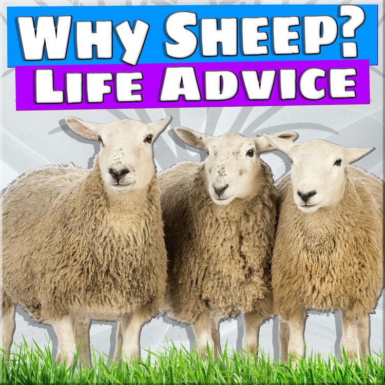 cover art for 23 - Definitive Break-Through Why The Sheep Are Sheep!