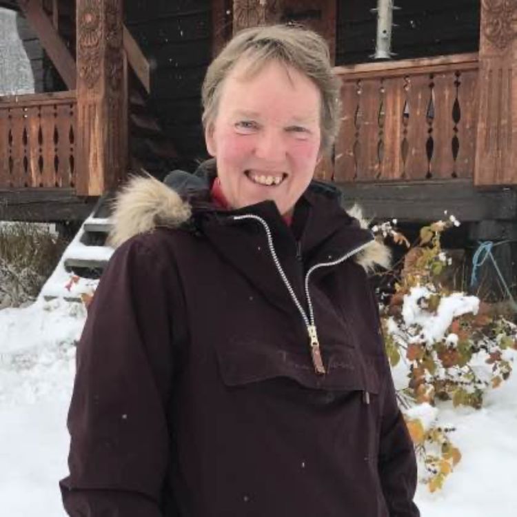 cover art for Torgunn Grøndalen Huso - Hemsedal