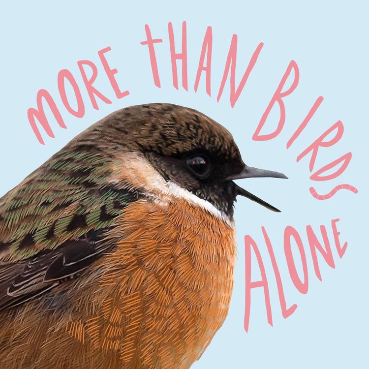 cover art for Aflevering 22: Besef jij wel wat je hebt?