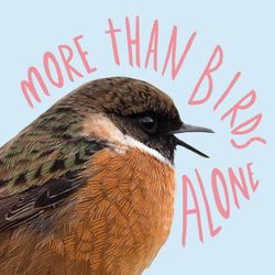 cover art for More Than Birds Alone