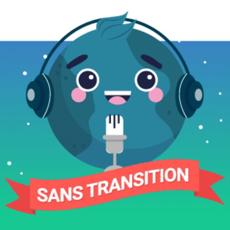cover art for Emission « Sans transition »