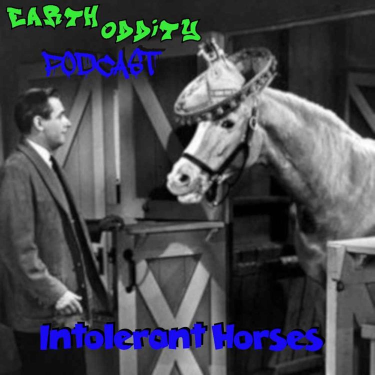 cover art for Earth Oddity 242: Intolerant Horses