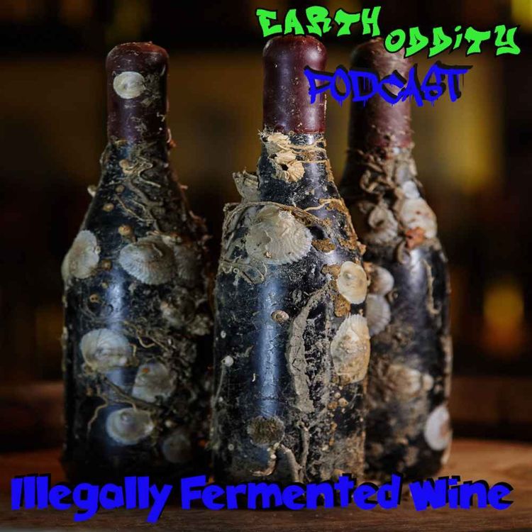 cover art for Earth Oddity 272: Illegally Fermented Wine