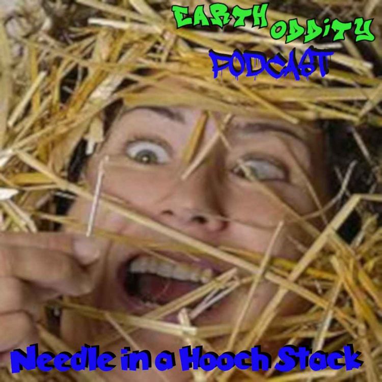 cover art for Earth Oddity 314: Needle in a Hooch Stack