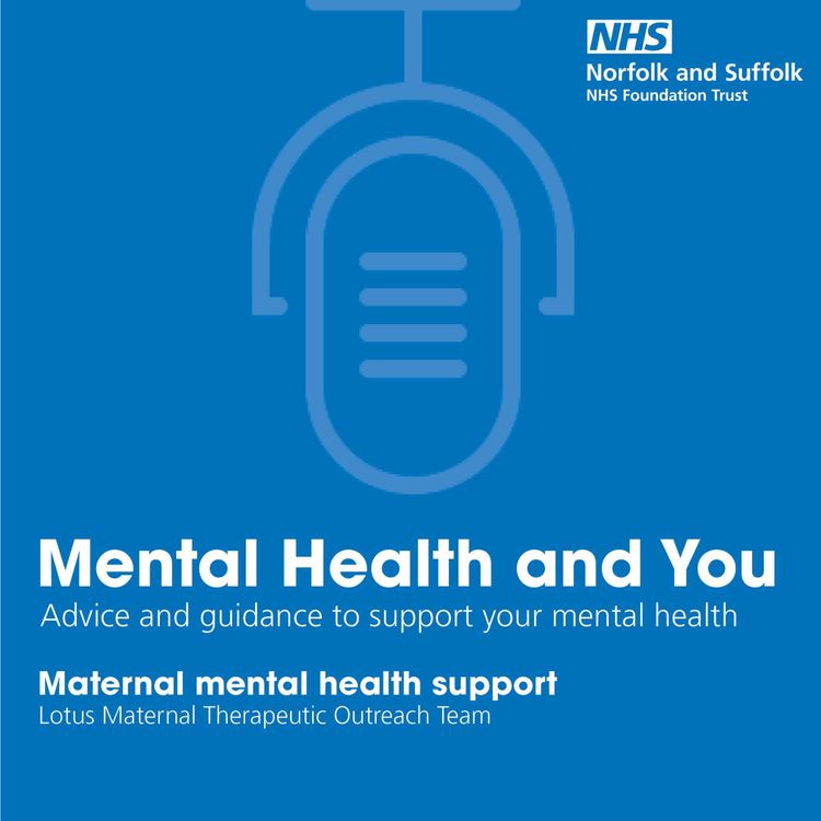 cover art for Maternal mental health support