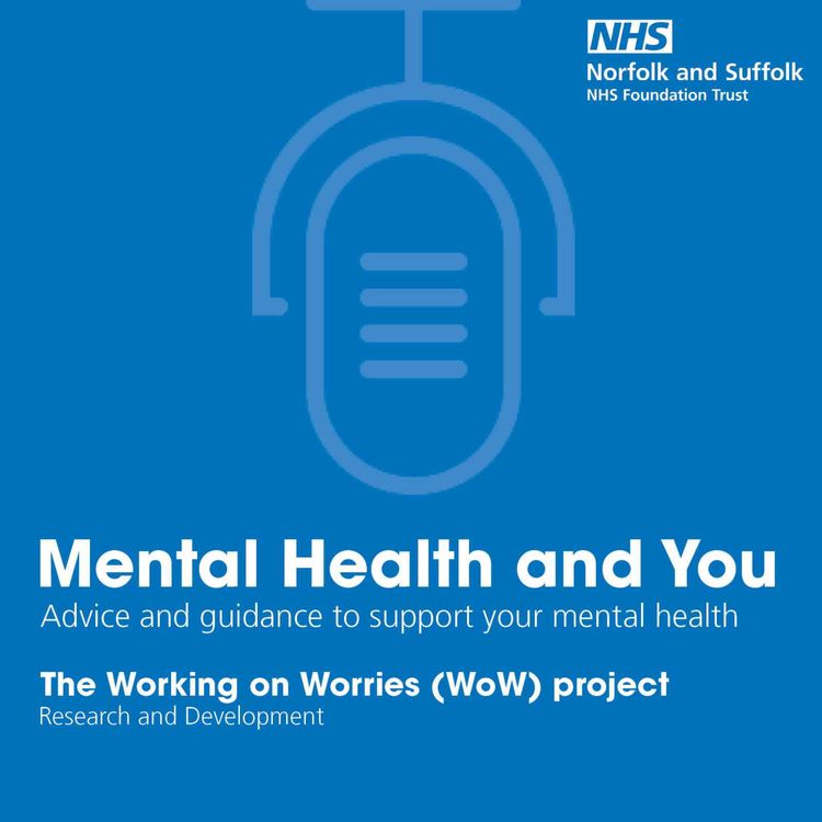 cover art for The Working on Worries (WoW) project