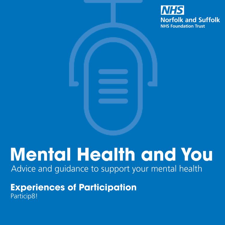 cover art for Experiences of Participation