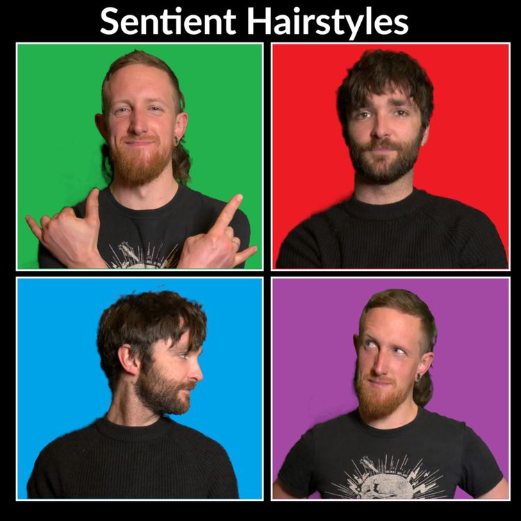 cover art for Sentient Hairstyles Episode 1