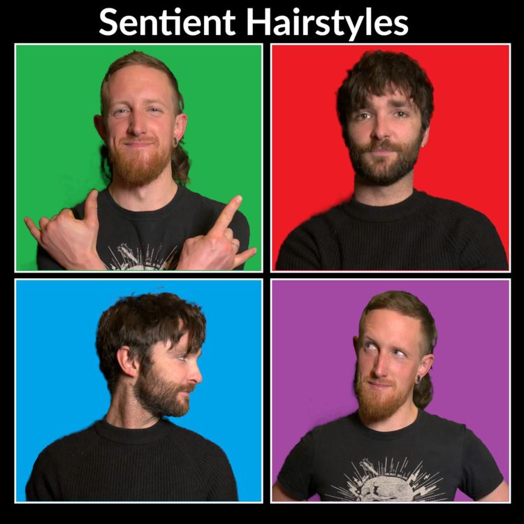 cover art for Sentient Hairstyles Episode 4 