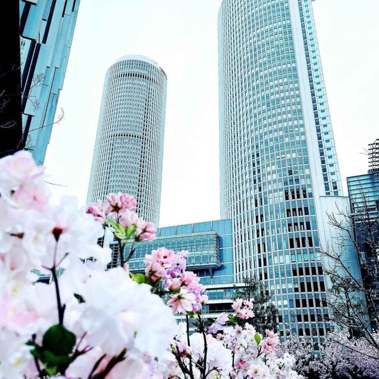 cover art for 大名古屋ビルヂング「サクラスカイガーデン」