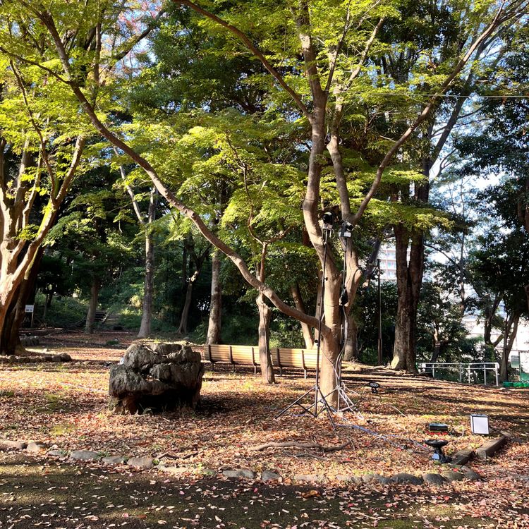 cover art for 東京の飛鳥山公園