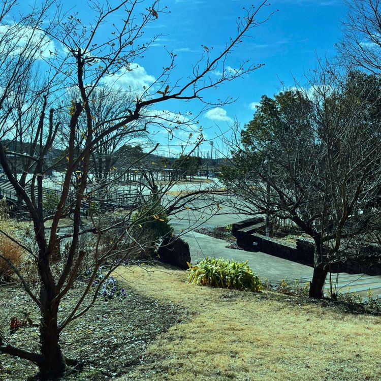 cover art for 大きな公園を歩きながら