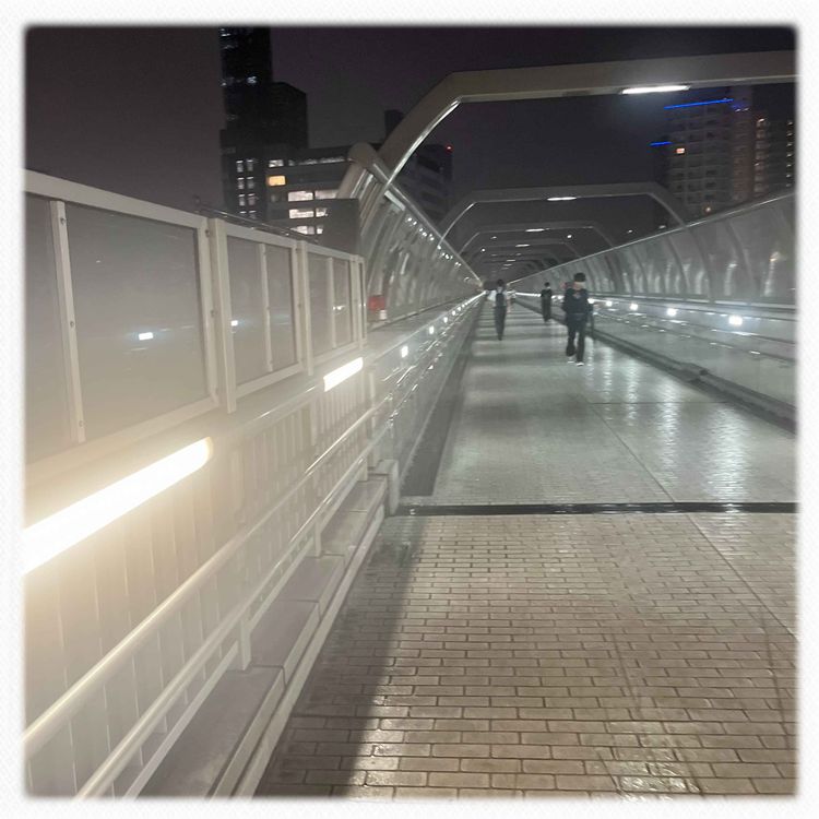 cover art for 大雨で交通麻痺の名古屋駅から歩いて帰る