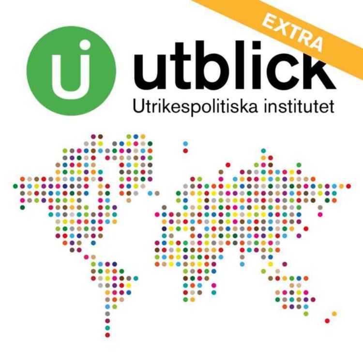 cover art for Utblick Extra: UI:s experter om läget i Ukraina