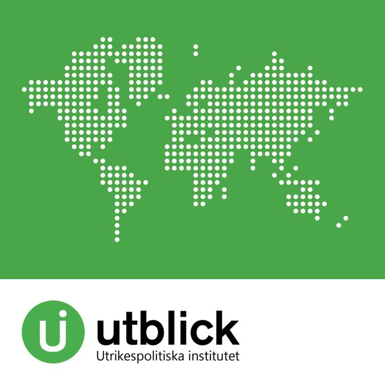 cover art for Efter USAID - nya aktörer kliver fram