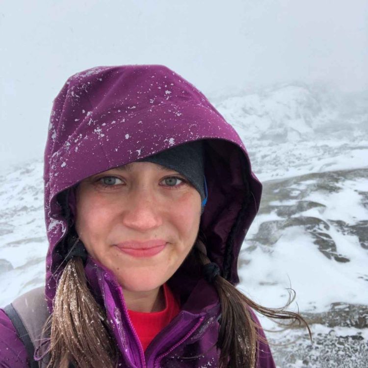 cover art for "Pappan och havet”