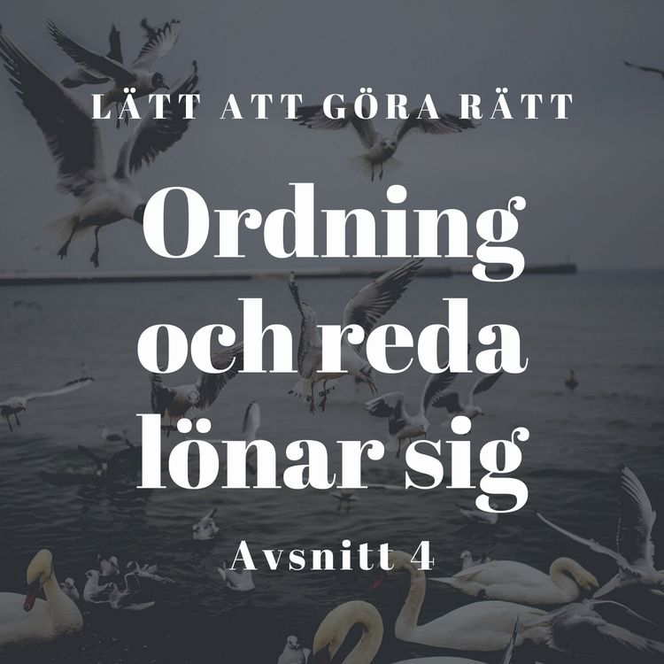 cover art for Ordning och reda lönar sig 