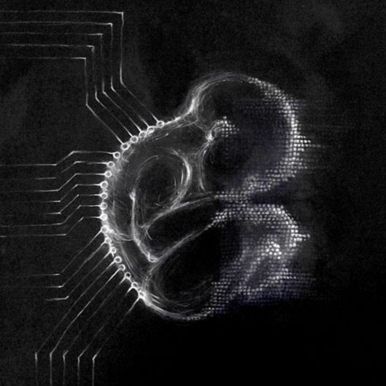 cover art for Huevo 4.0 | #4 Noción