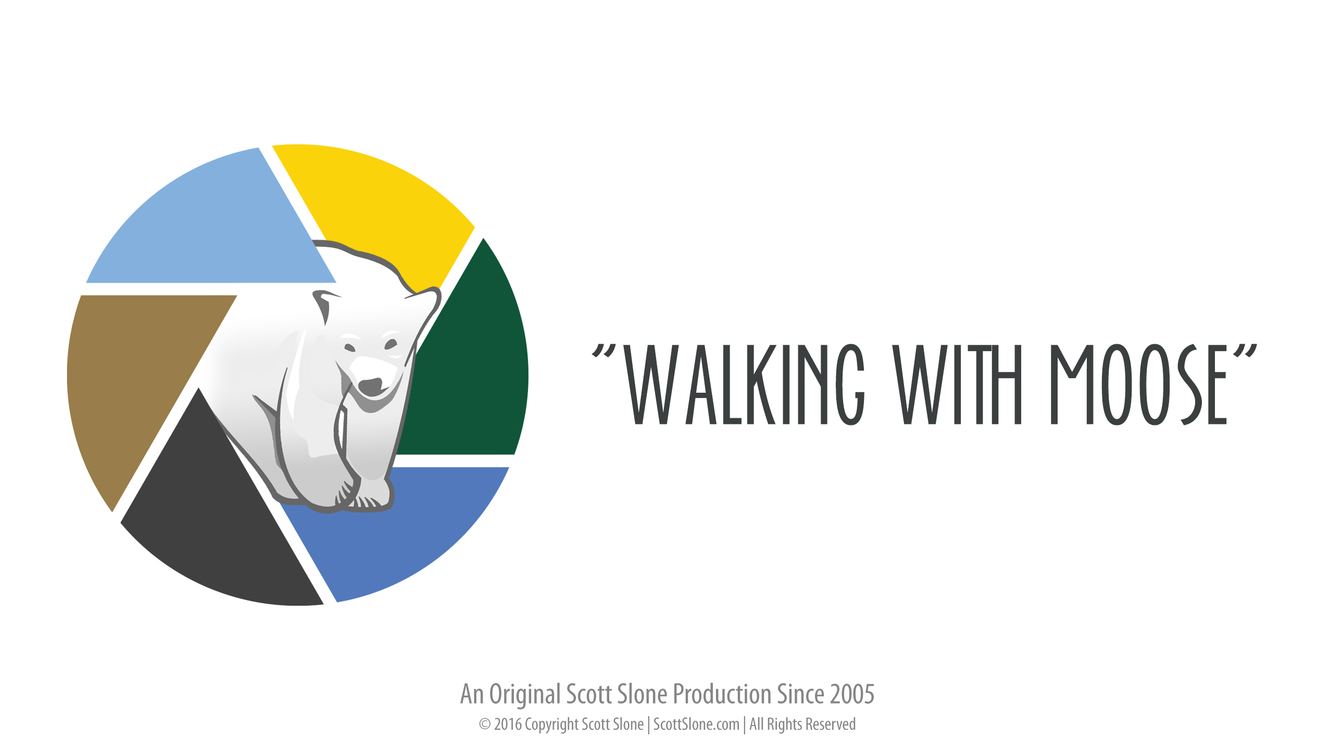 cover art for Sanity Saver: Moose in Forest