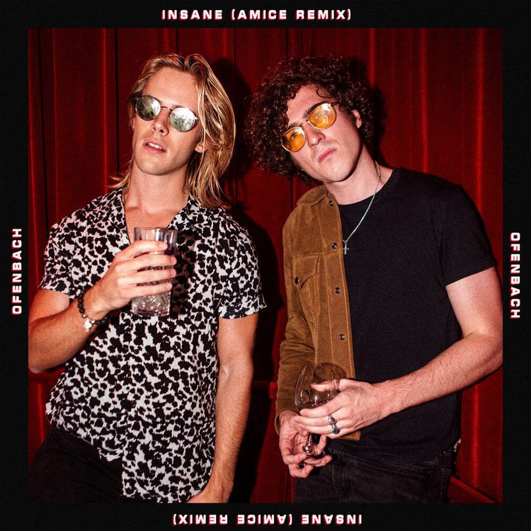cover art for Ofenbach - Insane (Amice Remix)