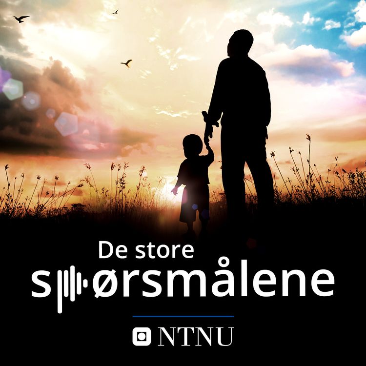 cover art for Hvordan skal vi unngå at gutter blir skoletapere?