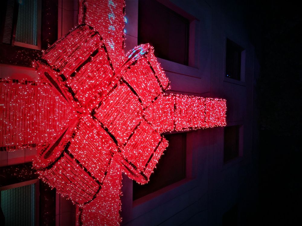 cover art for Pablo began planning his Christmas alone